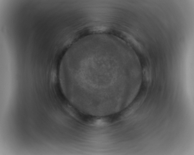 X0000113280564200910051043