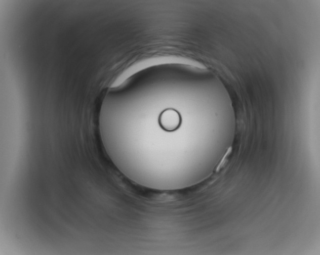 X0000113280566200910051043