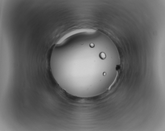 X0000113280568200910051043