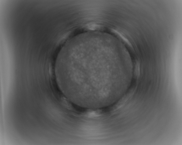 X0000113280569200910051043