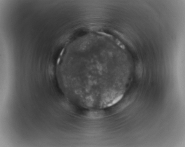 X0000113280571200910051043