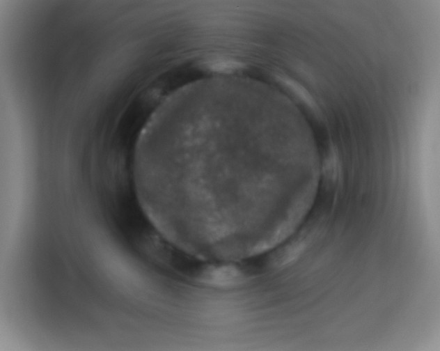 X0000113280572200910051043