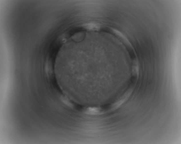 X0000113280573200910051043