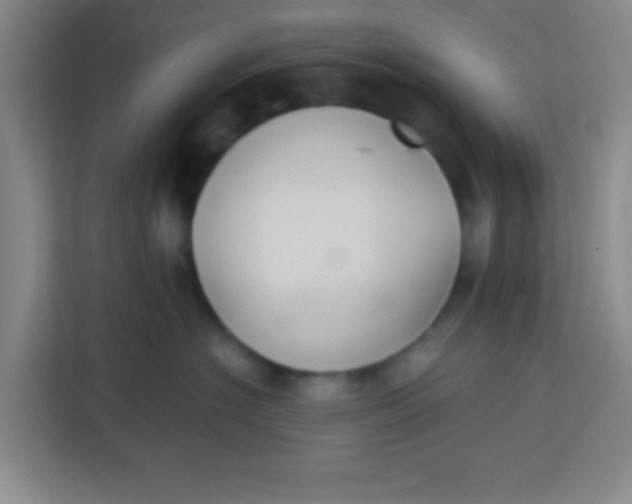 X0000113280574200910051043