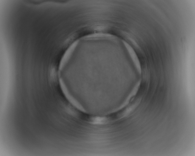 X0000113280575200910051043