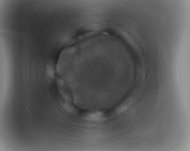 X0000113280576200910051043