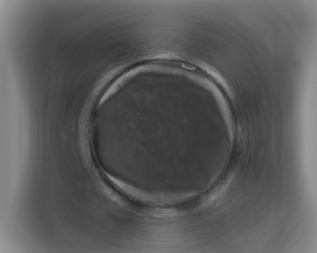 X0000113280577200910051042