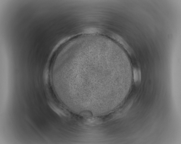 X0000113280579200910051042