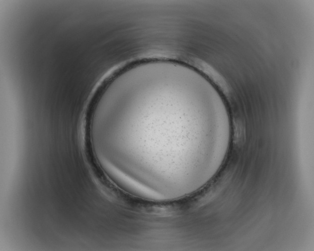 X0000113280580200910051042