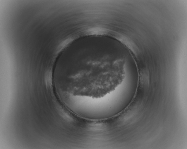 X0000113280581200910051042