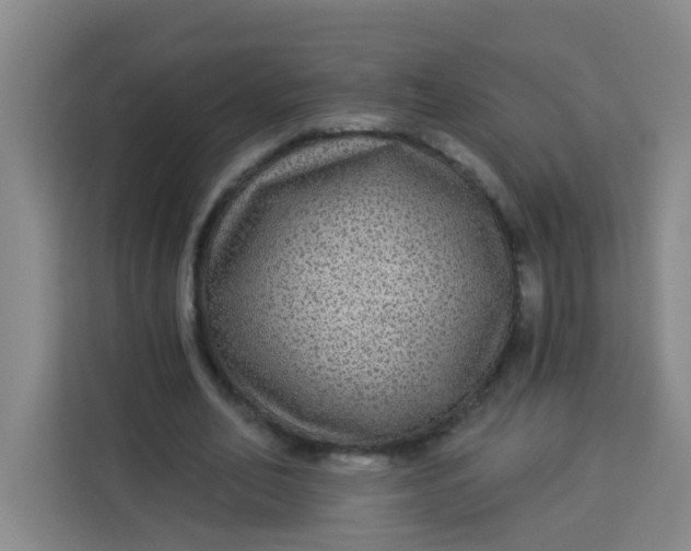 X0000113280582200910051042