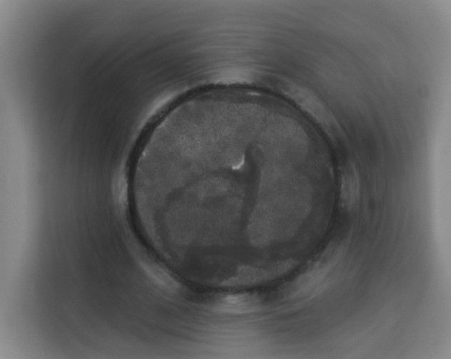 X0000113280584200910051042