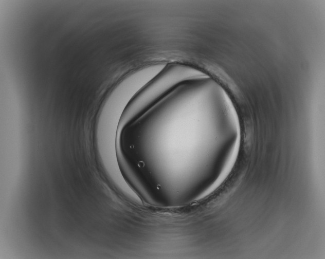 X0000113280585200910051042