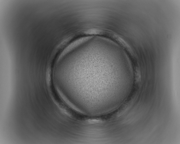 X0000113280586200910051042