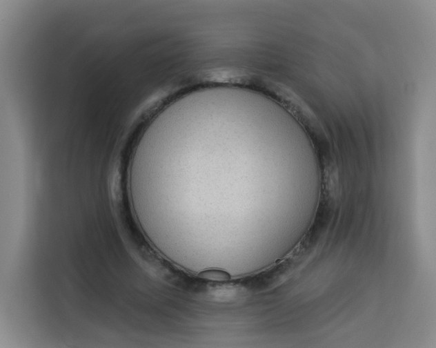 X0000113280587200910051042