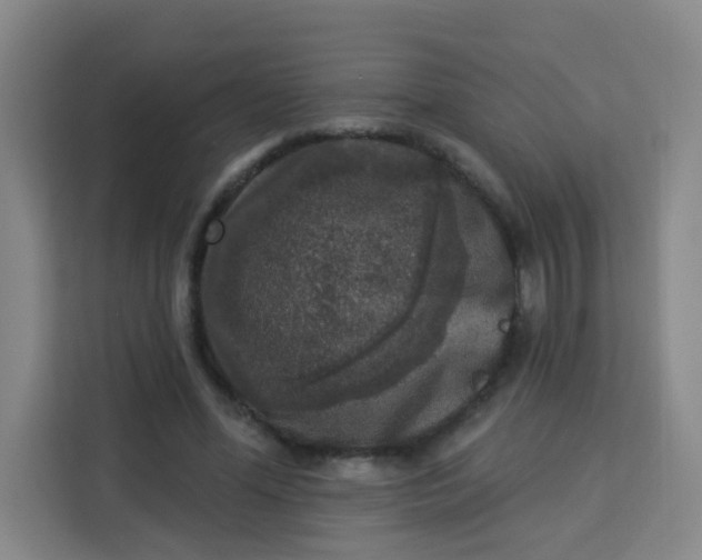 X0000113280588200910051042