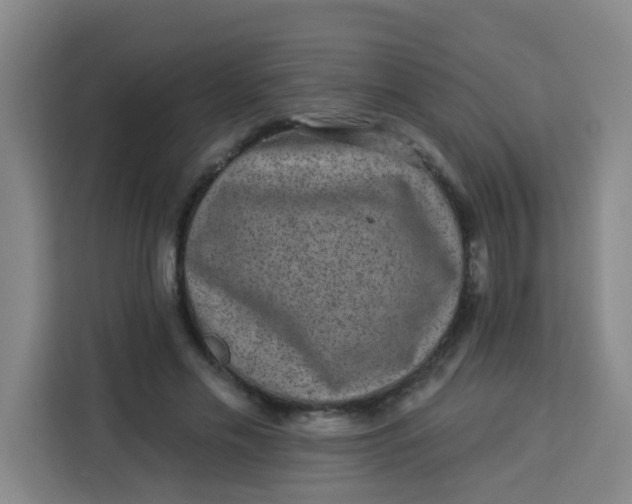 X0000113280589200910051042