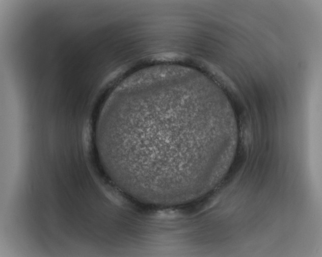 X0000113280591200910051042