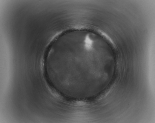 X0000113280592200910051042