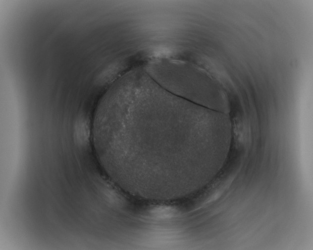 X0000113280593200910051042