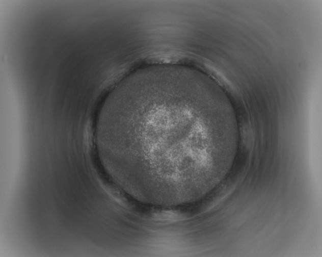 X0000113280594200910051042