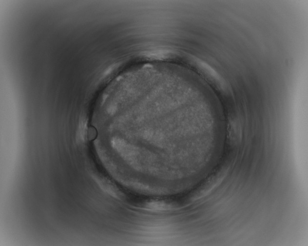 X0000113280596200910051042