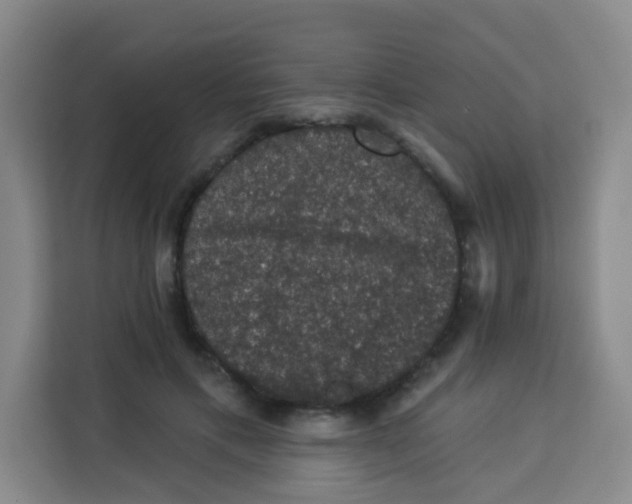 X0000113280597200910051042