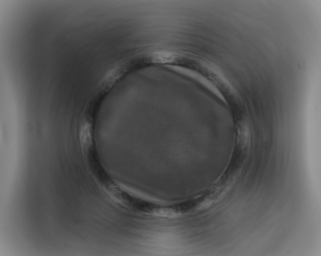 X0000113280598200910051042