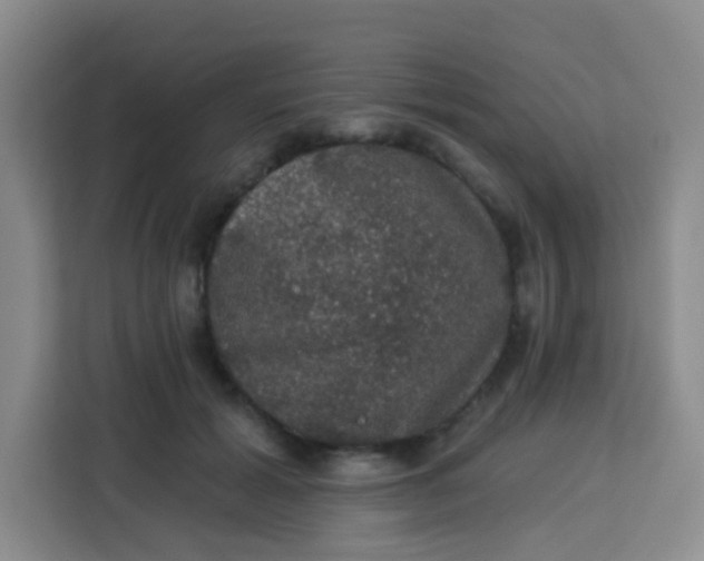 X0000113280605200910051042