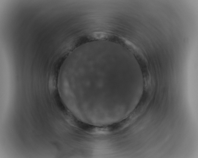 X0000113280606200910051042