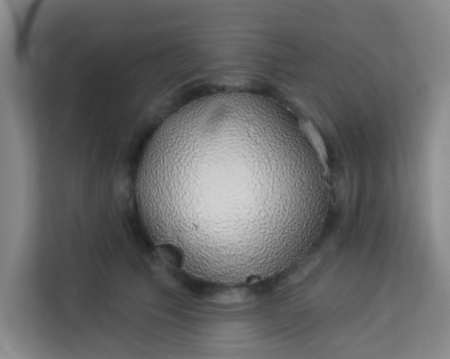 X0000113280609200910051042