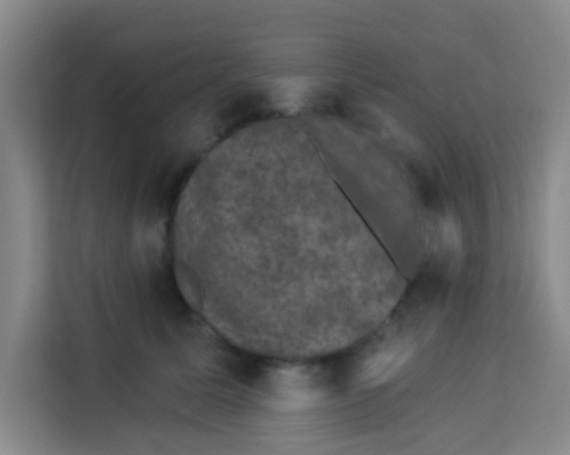 X0000113280611200910051042