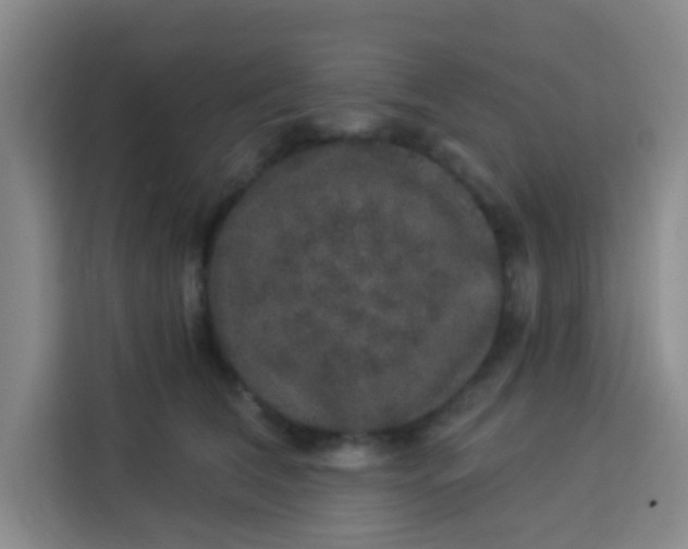 X0000113280612200910051042