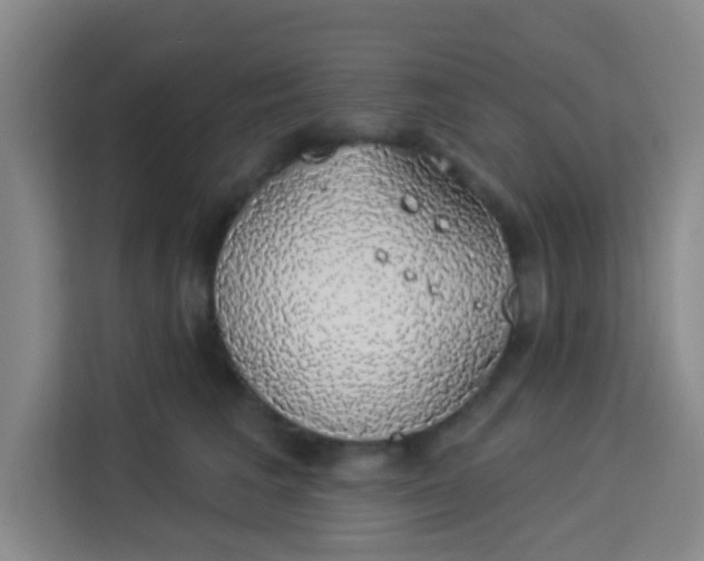 X0000113280613200910051042