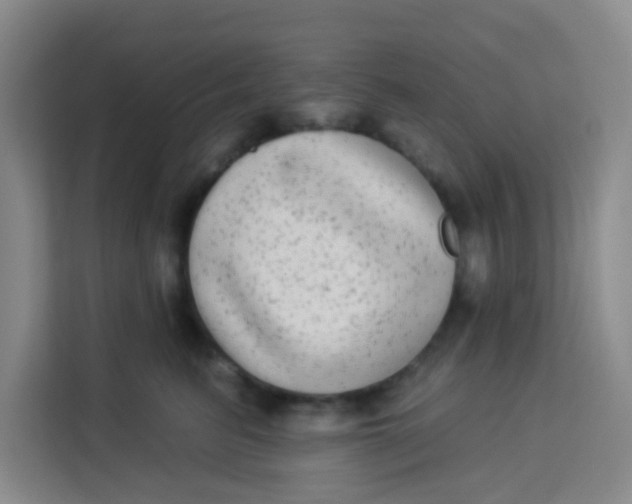 X0000113280615200910051042