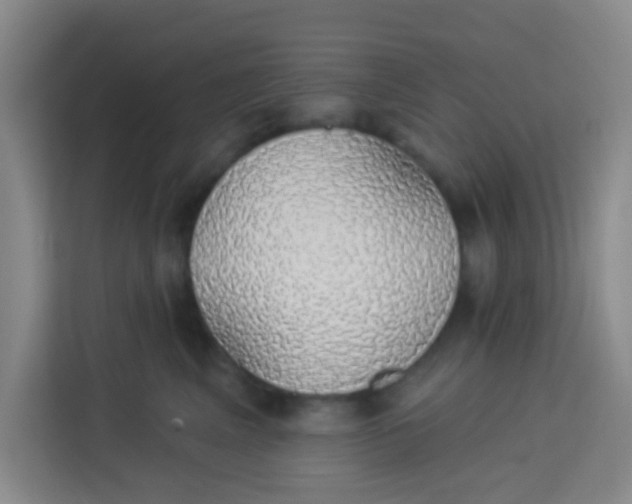 X0000113280617200910051042