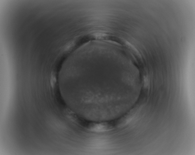 X0000113280618200910051042