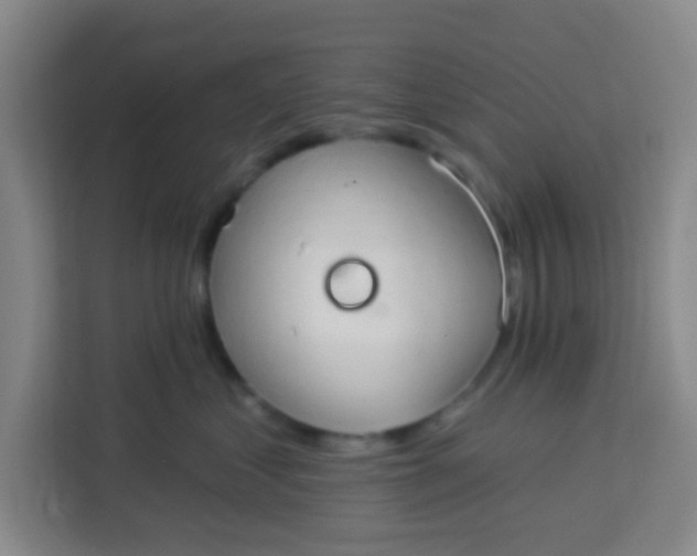 X0000113280621200910051041