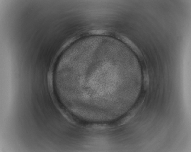 X0000113280626200910051041