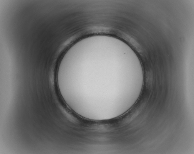 X0000113280629200910051041