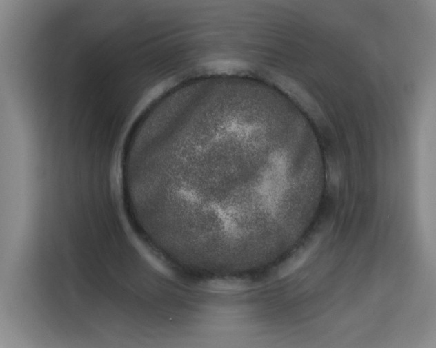 X0000113280630200910051041