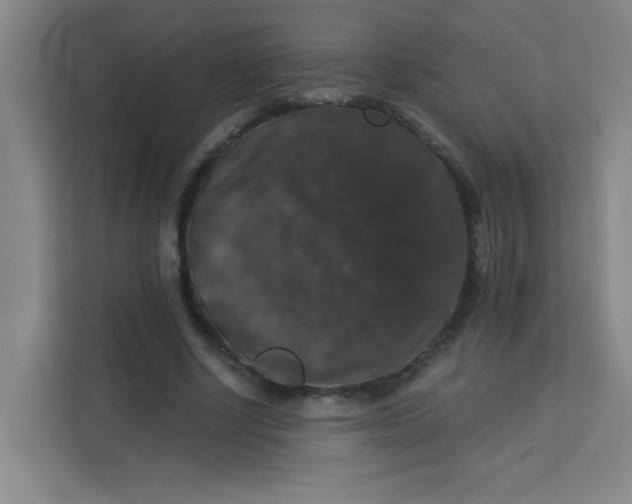 X0000113280634200910051041