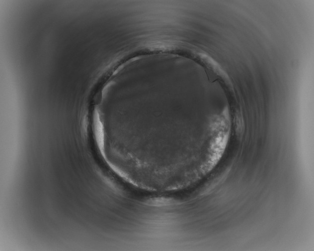 X0000113280637200910051041