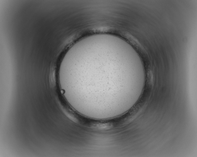 X0000113280638200910051041