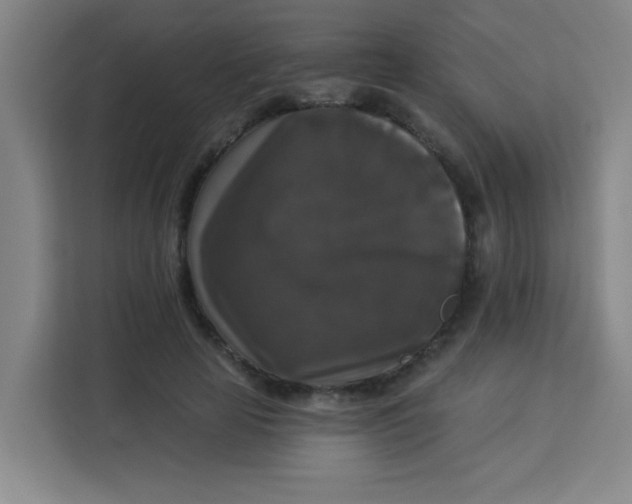 X0000113280641200910051041