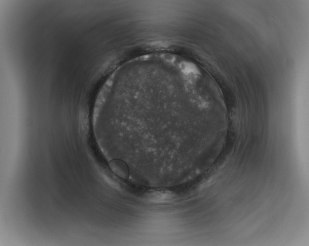 X0000113280642200910051041