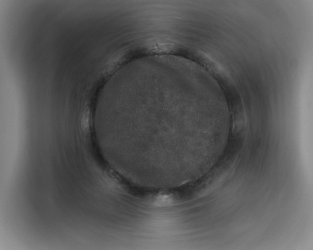 X0000113280647200910051041