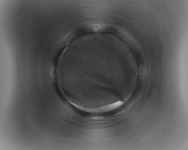 X0000113280650200910051041