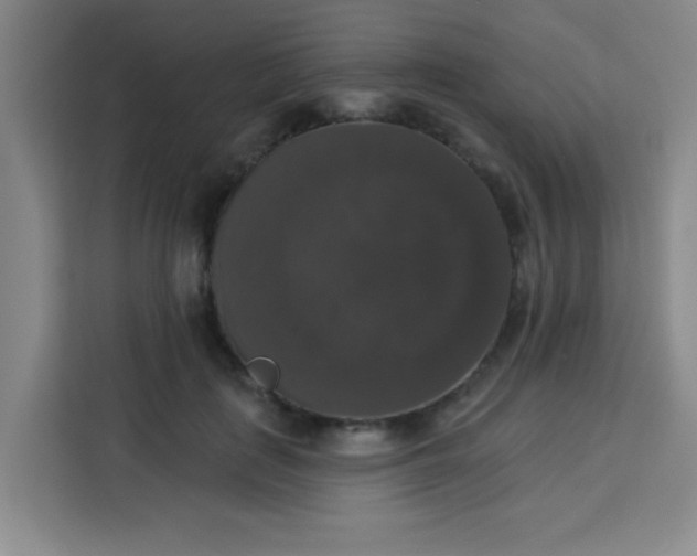 X0000113280651200910051041