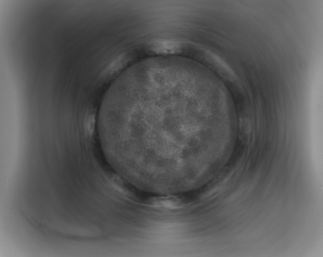 X0000113280652200910051041